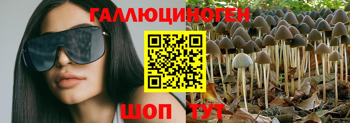 Галлюциногенные грибы ЛСД Луховицы